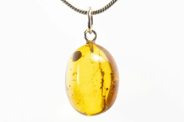 Polished Baltic Amber Pendant (Necklace) - Contains Insect! #312232